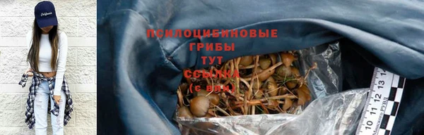 спиды Аркадак