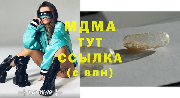 ПСИЛОЦИБИНОВЫЕ ГРИБЫ Арсеньев
