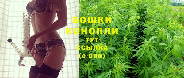 шишки Армянск