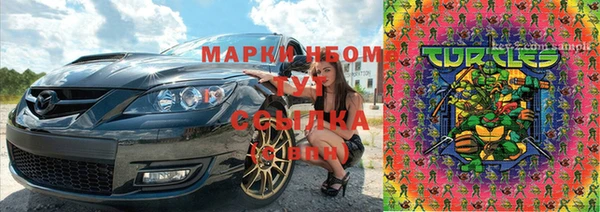 ПСИЛОЦИБИНОВЫЕ ГРИБЫ Арсеньев