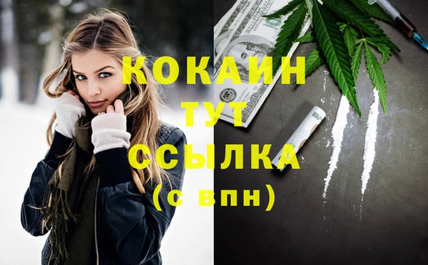 спиды Аркадак