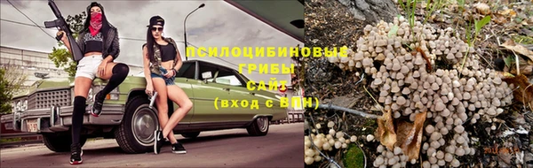 спиды Аркадак