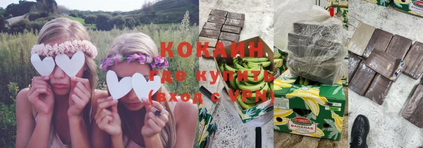 шишки Армянск