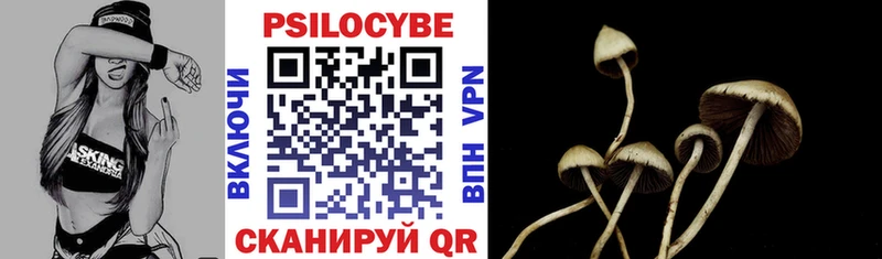 купить наркоту  Сорск  Псилоцибиновые грибы Magic Shrooms 